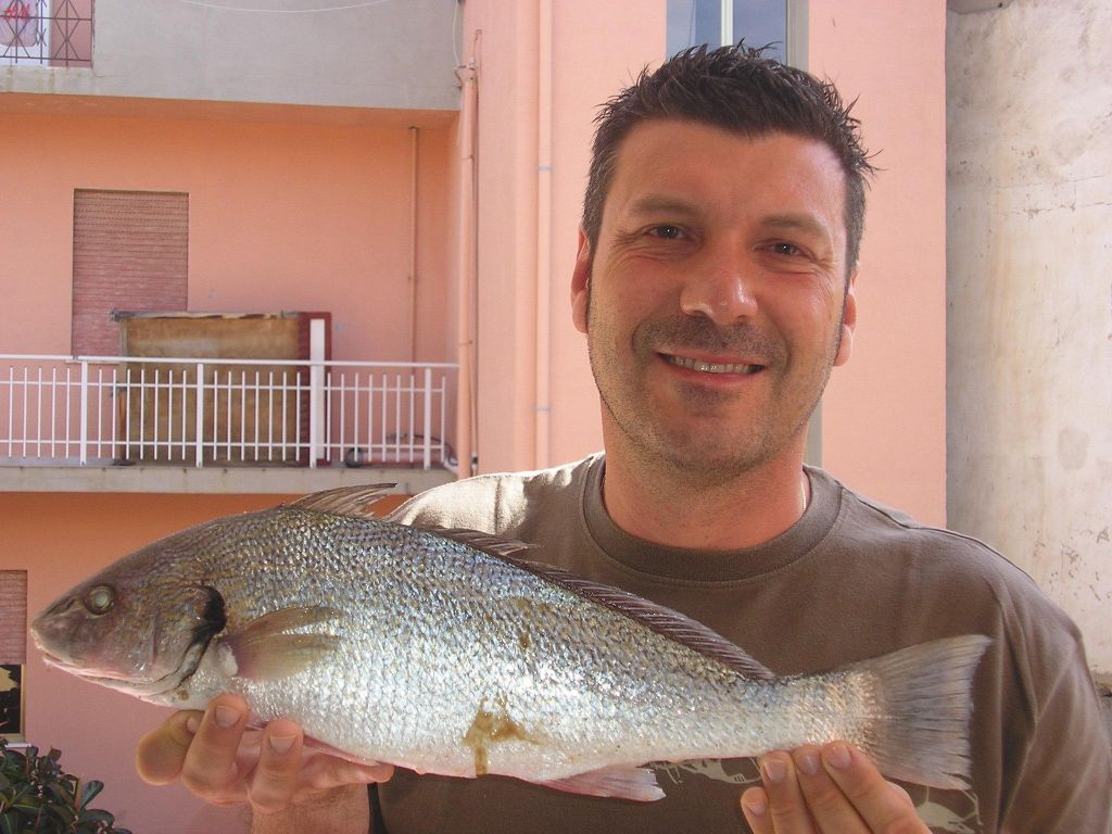 DAVIDE GORI  OMBRINA 1,5 Kg.jpg